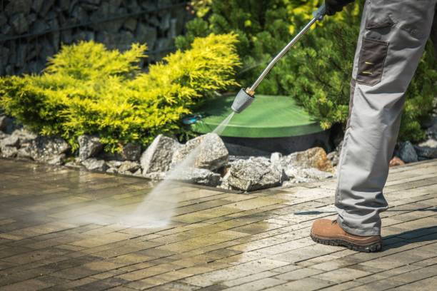 Best Soft Washing for Delicate Surfaces in Saucier, MS